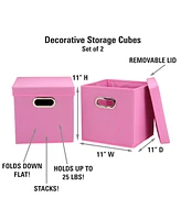 Household Essential Storage Bins with Lids, Set of 2