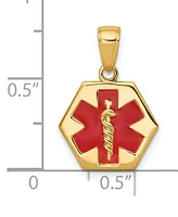 Medical Info Hexagon Charm Pendant in 14k Gold