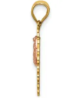 15" Our Lady of Guadeloupe Two-Tone Charm Pendant in 14k Yellow & Rose Gold