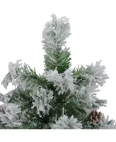 Northlight 2' Unlit Flocked Pine Artificial Christmas Tree in Burlap Base