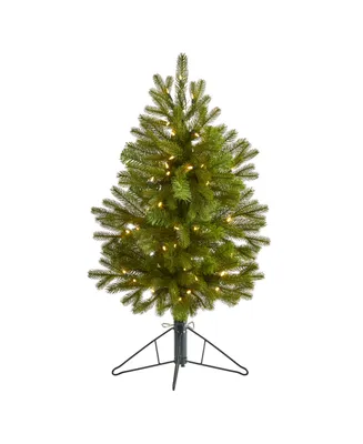 Nearly Natural Cambridge Spruce Flat Back Artificial Christmas Tree with 50 Warm Multifunction Led Lights and 113 Bendable Branches