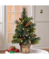 National Tree Company 2' Crestwood Spruce Small Tree with Silver Bristle, Cones, Red Berries and Glitter in a Plastic Bronze Pot with 35 Battery Opera