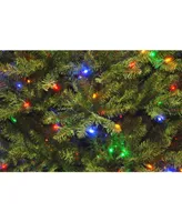 National Tree 9' Dunhill Fir Hinged Tree with 900 Low Voltage Dual Led Lights with 9 Function Footswitch