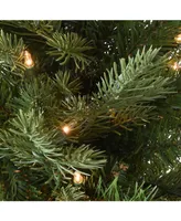 National Tree Company 3' "Feel Real" Nordic Spruce Small Tree in Burlap with 100 Clear Lights