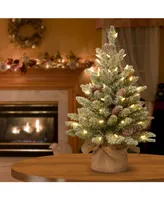 National Tree Company 2' Snowy Concolor Fir Small Tree in Burlap with Snowy Cones & 50 Warm White Battery Operated LEDs with Timer