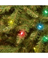 National Tree 4.5' Dunhill Fir Tree with 450 Multicolor Lights