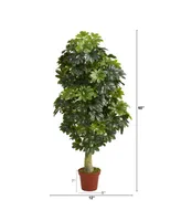 Schefflera Artificial Tree Real Touch