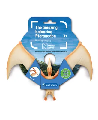 Natural History Museum The Amazing Balancing Pteranodon