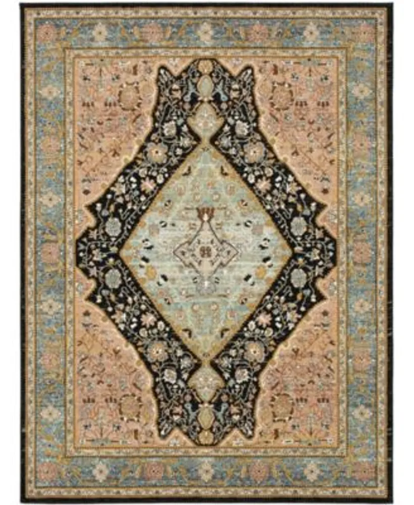 Karastan Zephyr Bidjar Area Rug