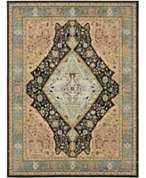 Karastan Zephyr Bidjar Area Rug