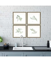 Paragon Herbs Framed Wall Art Set of 4, 17" x 17"