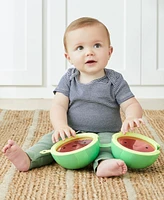 Farm Stand Watermelon Drum