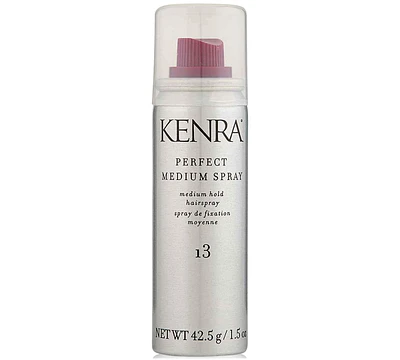 Kenra Professional Perfect Medium Spray 55% 13