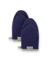 KitchenAid Asteroid Mini Oven Mitt Set, 2 Piece