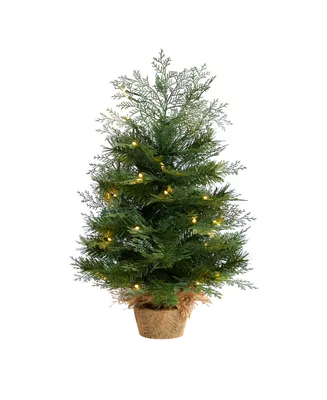 Artificial Christmas Tree in Burlap Base with 35 Warm Led Lights, 2'