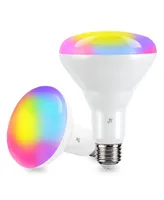 Smart BR30 Dimmable Light Bulb - Dimmable Color Changing Led, Set of 2