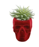 5" Artificial Succulent in Flocked Skull Ceramic - Burgundy, Green