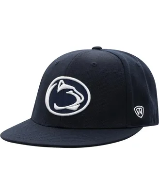 Men's Navy Penn State Nittany Lions Team Color Fitted Hat
