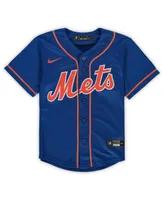 Lids Francisco Lindor New York Mets Nike Infant Alternate Replica