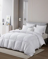 Serta European Down All Season Comforter