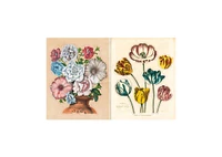 John Derian Sticker Book by John Derian