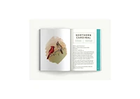 Birds: An Illustrated Field Guide by Alice Sun