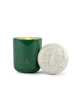 Horse Candle - Gardens of Valencia Scent