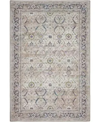 D Style Basilic Bas1 Area Rug