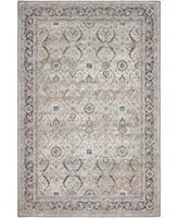 D Style Basilic Bas1 Area Rug