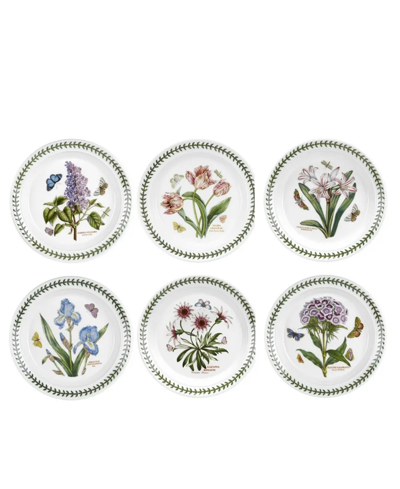 Botanic Garden Assorted Motifs Salad Plate, Set of 6