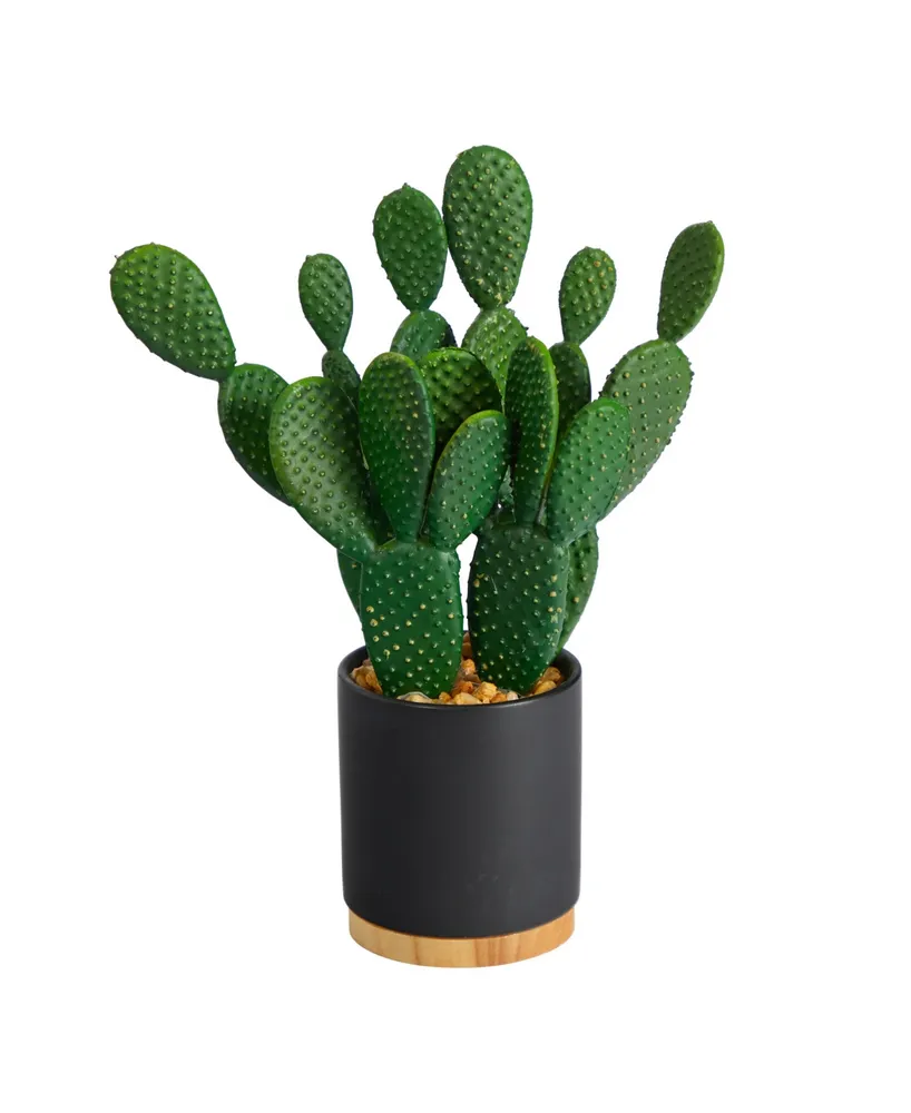 Cactus Succulent Artificial Plant in Planter, 10"