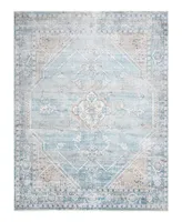 Bayshore Home Aquidneck AQU04 7'10" x 10'2" Area Rug