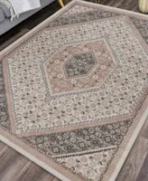 Closeout! Lr Home Sahara SHRC81667 5'2" x 7'2" Area Rug