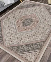 Closeout Lr Home Sahara Shrc81667 Area Rug