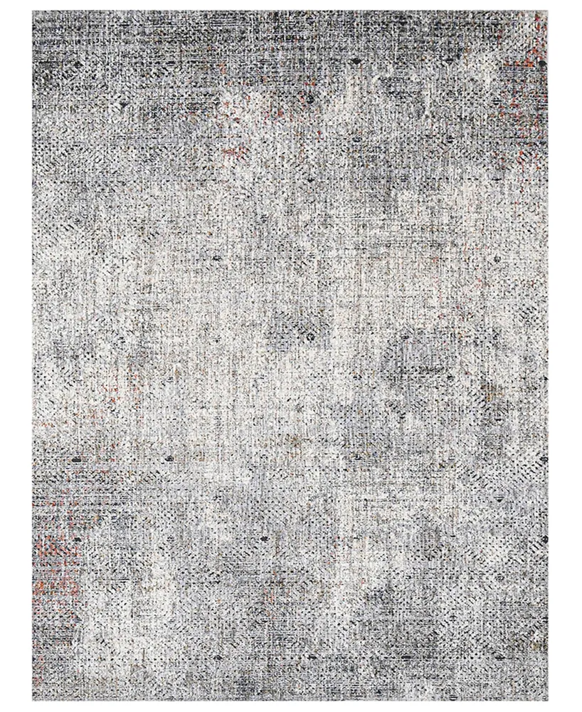 Amer Rugs Vermont Divina 7'10" x 9'10" Area Rug