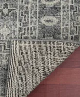 Amer Rugs Divine Loise 8' x 10' Area Rug