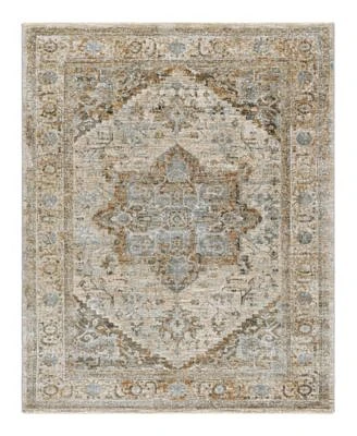 Surya Brunswick Bwk 2318 Area Rugs