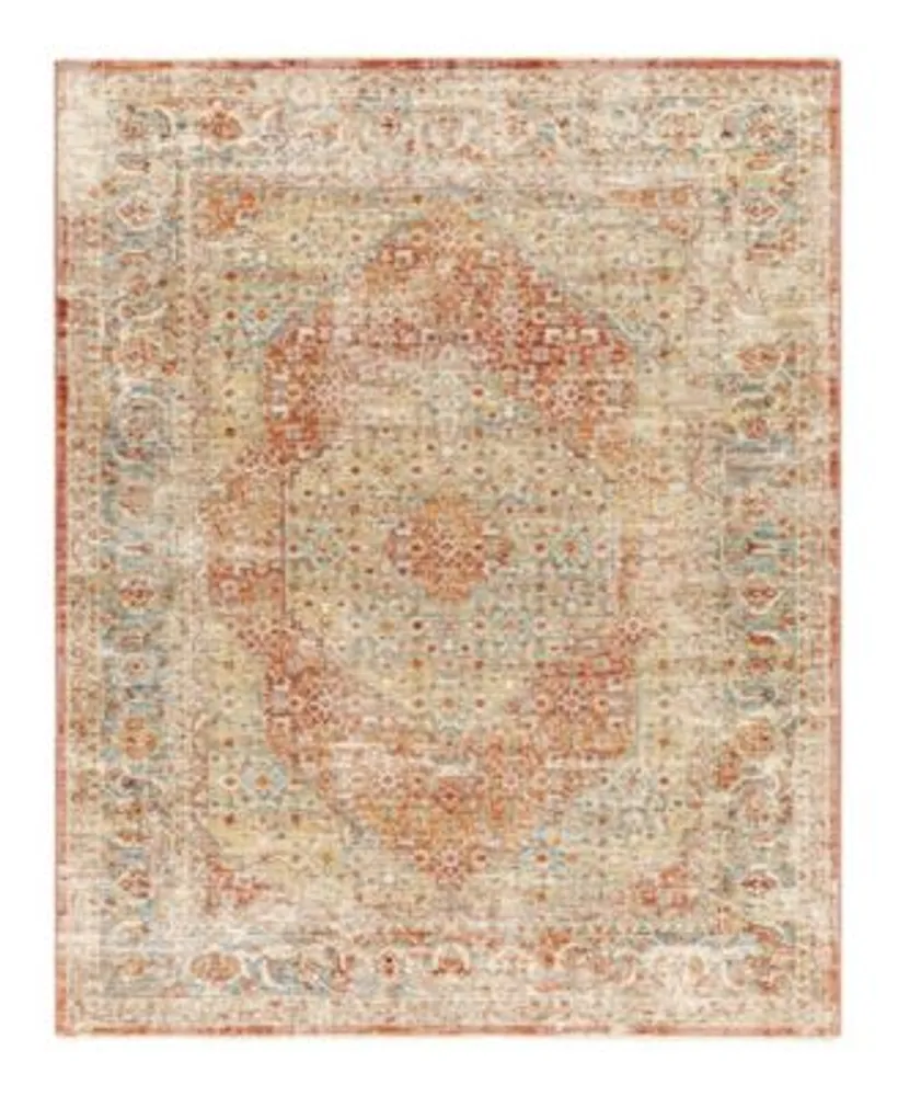 Surya Aspendos Aps Area Rugs