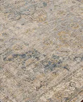 Livabliss Aspendos Aps 2303 Area Rugs