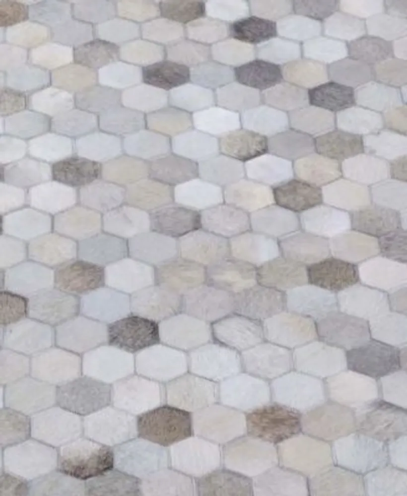 Exquisite Rugs Mosaic Er4059 Area Rug