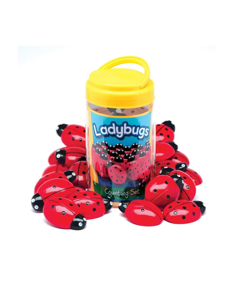 Yellow Door Ladybugs Counting Set, Pack of 22