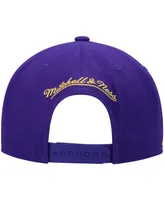 Men's Mitchell & Ness Purple Los Angeles Lakers Hardwood Classics Snapback Hat