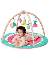 Skip Hop Watermelon Play Gym, 7 Piece Set