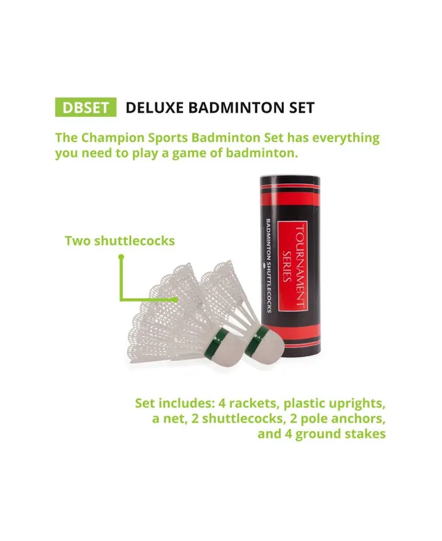 Champions Series Badminton Set