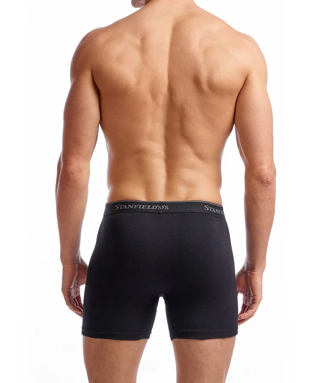 Stanfield's En's 5 Pack Cotton Brief Grey, XL - Extra Large