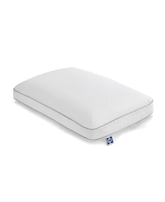 Sealy Memory Foam Bed Pillow