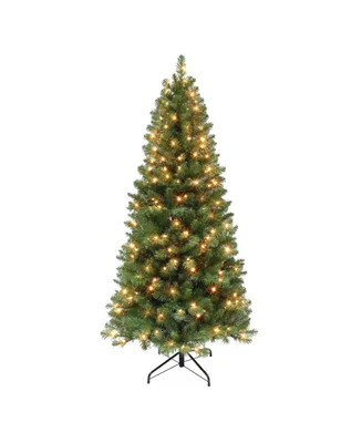 6' Pre-Lit Virginia Pine Tree with 250 Underwriters Laboratories Clear Incandescent Lights, 659 Tips