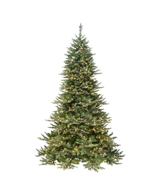 6.5' Pre-Lit Royal Majestic Douglas Fir Downswept Tree with 500 Underwriters Laboratories Clear Incandescent Lights, 3402 Tips