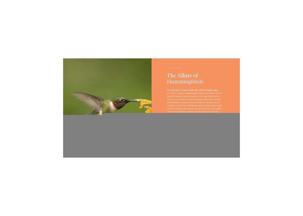 The Hummingbird Handbook