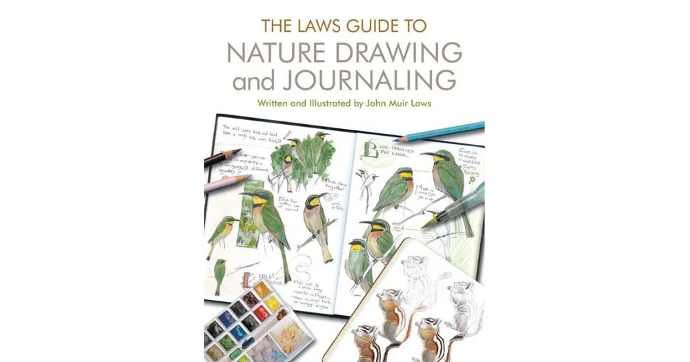 Watercolor Sets for Kids • John Muir Laws